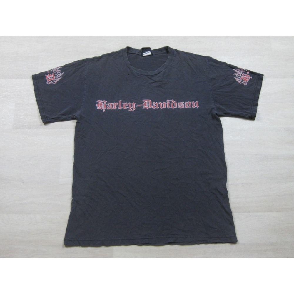 Vintage Y2K Harley Davidson T Shirt Mens (L) Biker Motorcycle West Virginia 2003